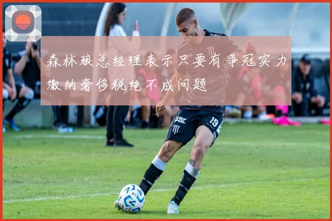 森林狼总经理表示只要有争冠实力缴纳奢侈税绝不成问题